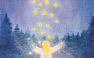 Värna söker Administrativ samordnare (40%) – start januari 2026