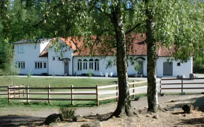 Ledig plats hos Syrsagården